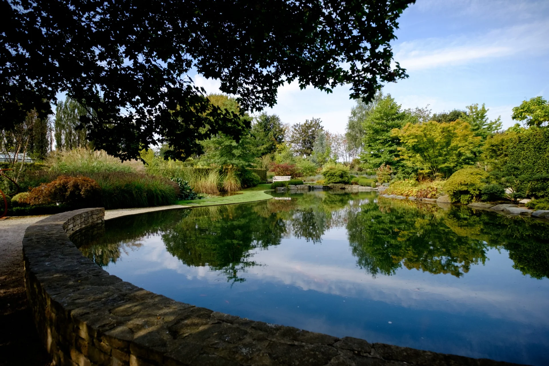Allées plantées de la pépinière Les Jardins Idée Ô à Haut-Ittre
